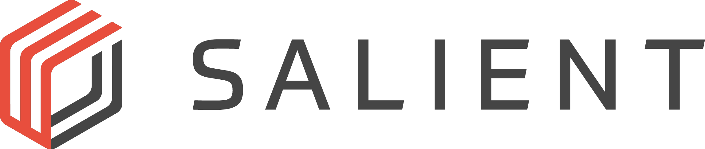 Salient Systems logo